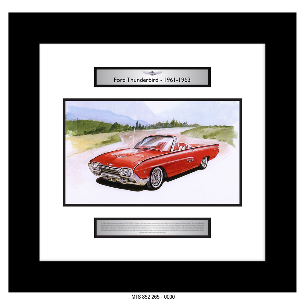 FORD - THUNDERBIRD - 1961 to 1963  [GOER A3 ART PRINT]