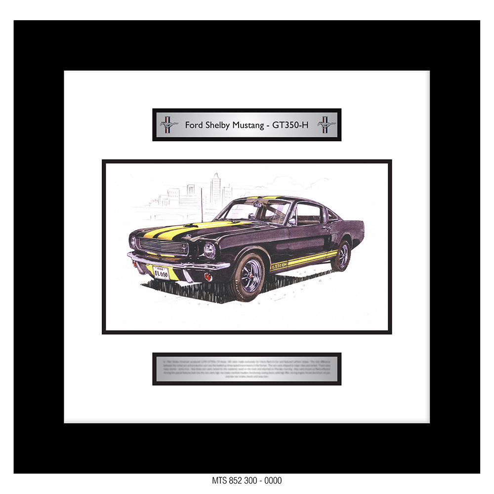 FORD - SHELBY - MUSTANG GT350H  [GOER A3 ART PRINT]