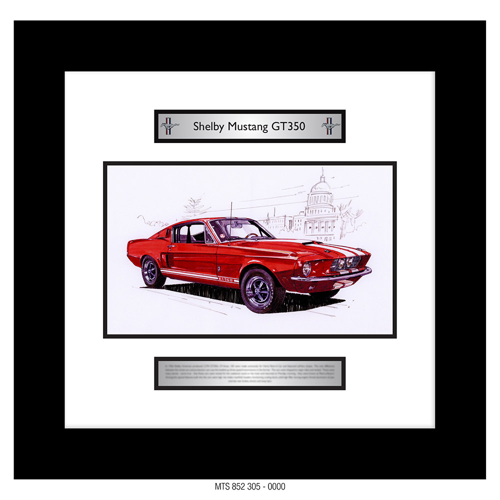 SHELBY - MUSTANG GT350  [GOER A3 ART PRINT]